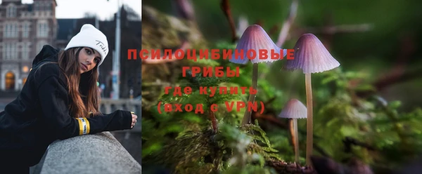 трава Алексин