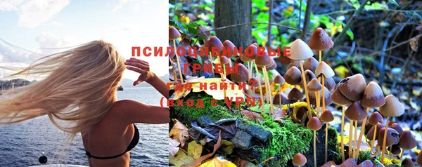 трава Алексин