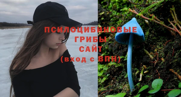 первитин Алексеевка