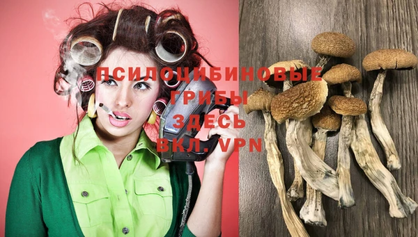PSILOCYBIN Всеволожск
